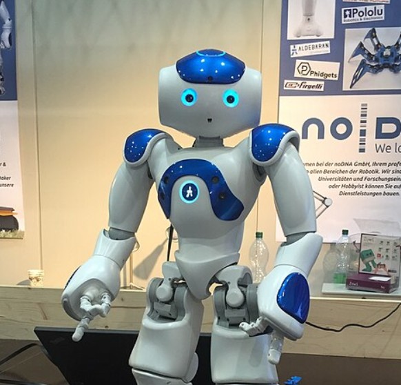 Humanoid Robot